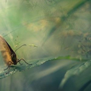 Meet your Posher, Dave